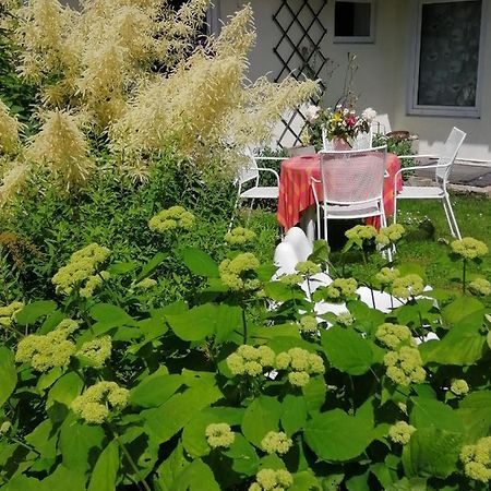 Secret Garden House In The Center Of Sigulda Villa Exterior photo