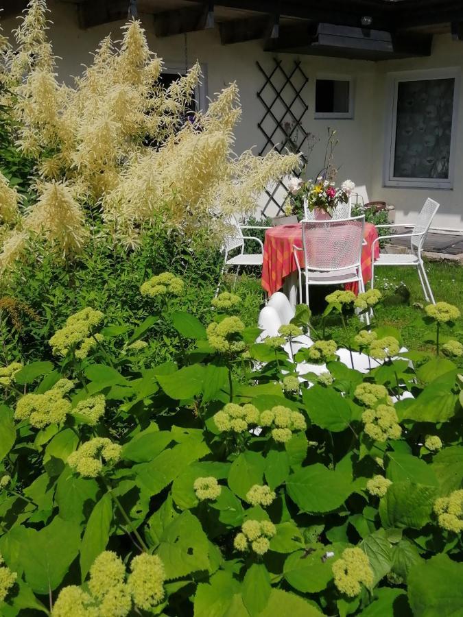 Secret Garden House In The Center Of Sigulda Villa Exterior photo