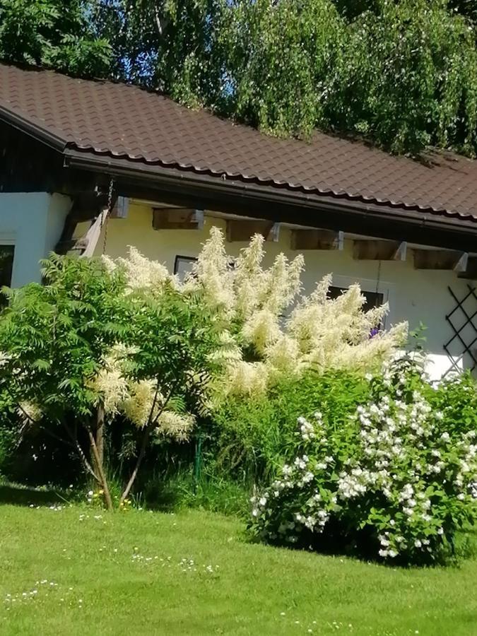 Secret Garden House In The Center Of Sigulda Villa Exterior photo